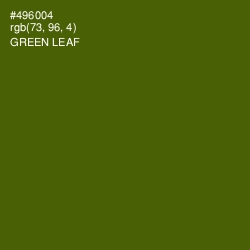 #496004 - Green Leaf Color Image